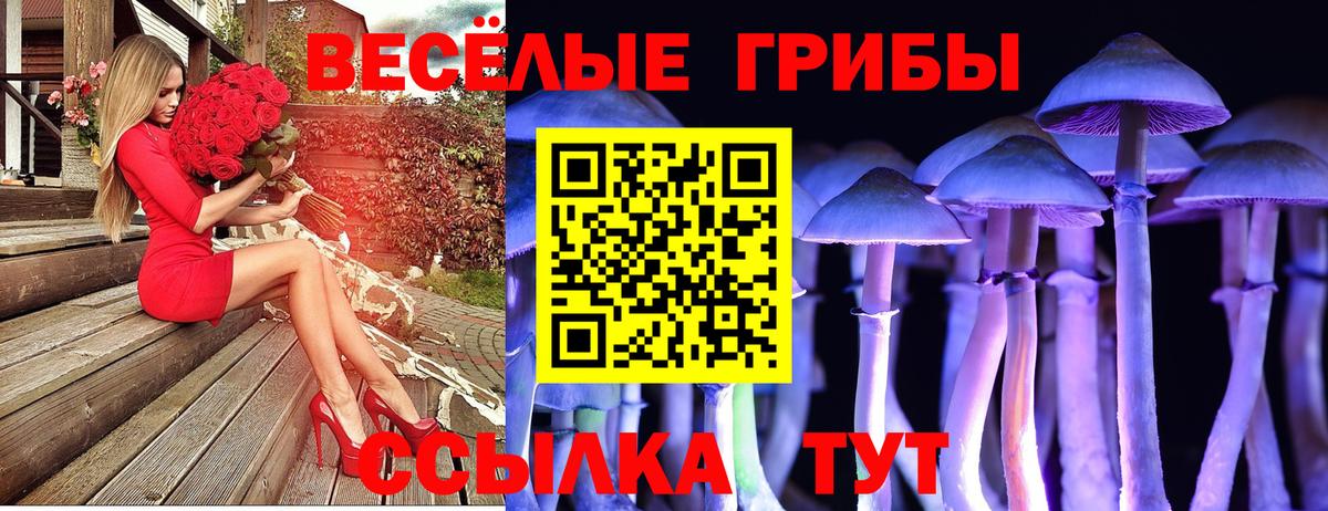 Псилоцибиновые грибы MAGIC MUSHROOMS Гагарин